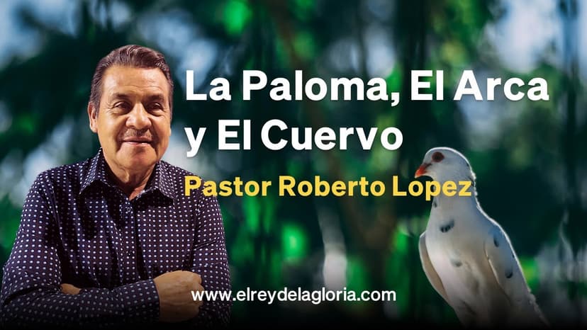 La Paloma, El Arca y El Cuervo